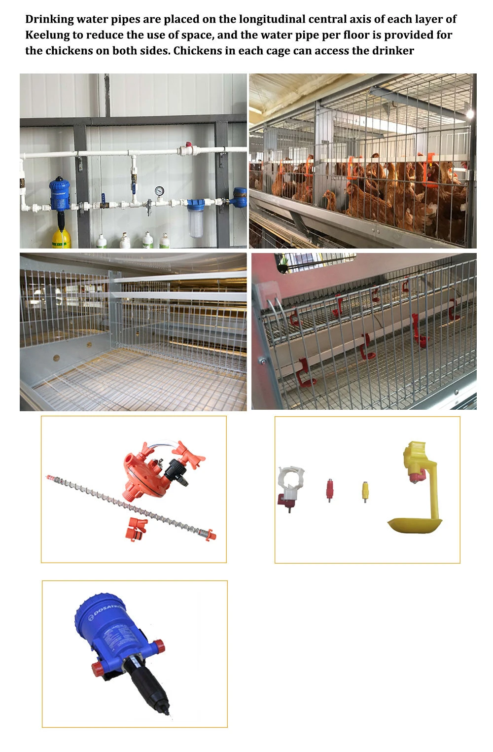 Low Cost Self Manufactured Semi-Automatic Modern Poultry Farm Equipment